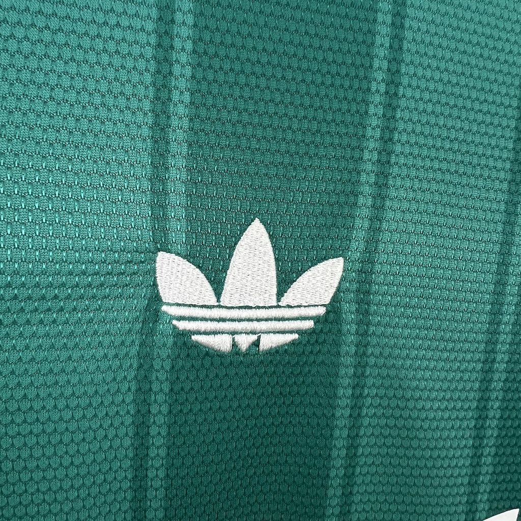 Aston Villa maillot Edition Spéciale Vert 2024 2025